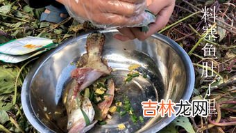 花鱼又叫什么鱼,花鱼又叫什么鱼呢?