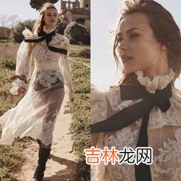 伊丽莎白圈为什么叫伊丽莎白,伊丽莎白圈为啥叫羞耻圈