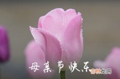 2023母亲节温馨祝福语精选