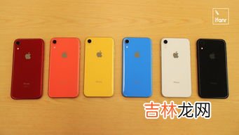 iphonexr电池容量,请问苹果xr电池多少毫安