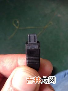 中国的警笛头是什么样子的,警笛头是啥