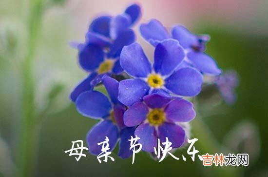 2023母亲节祝福语「」
