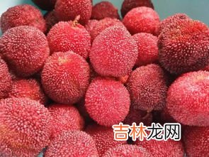 杨梅核是否能吃蚂蚁,水果核能不能吃