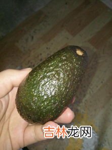 芒果蠕虫是什么,蠕虫是什么虫?