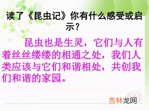 昆虫记的主要内容,昆虫记主要内容概括