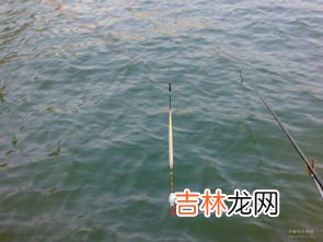 钓草鱼怎么调漂,钓草鱼怎么调漂