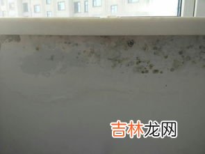 抽屉发霉是什么原因,家里的柜子为什么会发霉，柜子发霉了怎么办，怎么去除