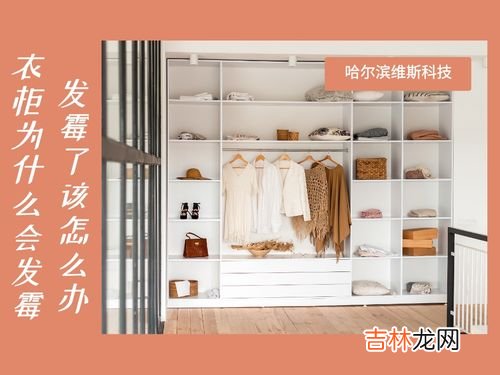 抽屉发霉是什么原因,家里的柜子为什么会发霉,柜子发霉了怎么办,怎么去除