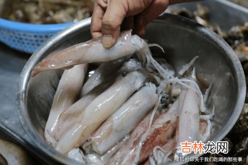 三牙鱼的营养价值,三齿鱼有什么营养