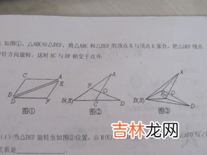 三角胸垫怎么放方向,外扩胸垫怎么放