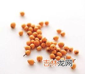 健安喜维生素e怎么样,维生素e哪个牌子好