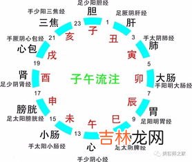 11点40分是午时头还是午时中,十二生活出生时辰时头时中时未各是什么时间