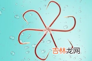 钓鲤鱼用几号钩,钓鲫鱼鲤鱼用几号钩几号线