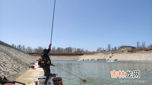 钓鲤鱼用几号钩,钓鲫鱼鲤鱼用几号钩几号线