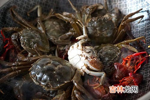 钢丝球钓螃蟹制作方法,钓螃蟹钢丝球制作过程