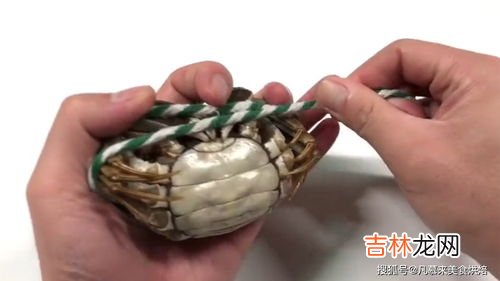 丝袜钓螃蟹怎么绑,几月螃蟹不闹窝