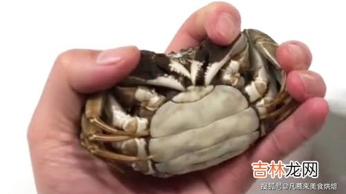 丝袜钓螃蟹怎么绑,几月螃蟹不闹窝