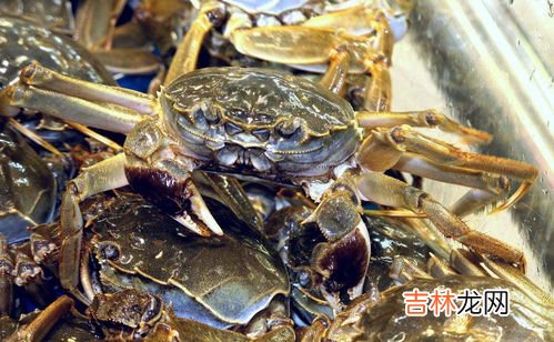 丝袜钓螃蟹怎么绑,几月螃蟹不闹窝