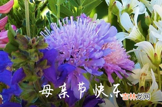 2023母亲节温馨祝福语集锦51条