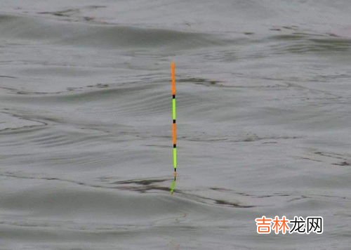 秋季钓鱼怎么调漂,秋季野钓鲫鱼调漂最佳方法