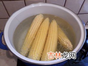 玉米需要煮多久,玉米需要多长时间煮熟