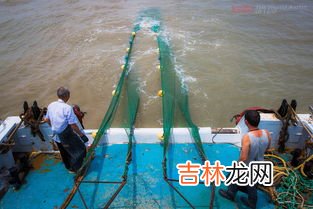 出海捕鱼经常死人么,出海捕鱼危险吗