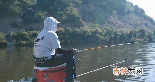 钓白条方法,七星钩钓白条技巧