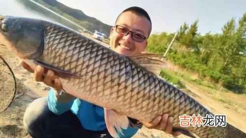 秋冬怎么钓草鱼,秋冬钓草鱼技巧和方法 钓鱼人必看