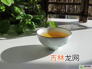 普洱属于什么茶类,普洱茶属于什么茶类