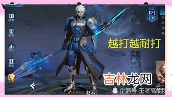 赵云怎么死的,赵云怎么死的?
