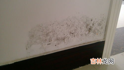 抽屉发霉怎么处理,抽屉里发霉了怎么去掉霉味？