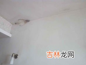 抽屉发霉怎么处理,抽屉里发霉了怎么去掉霉味？