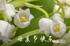 暖心祝福语：2023母亲节朋友圈说说心情短语