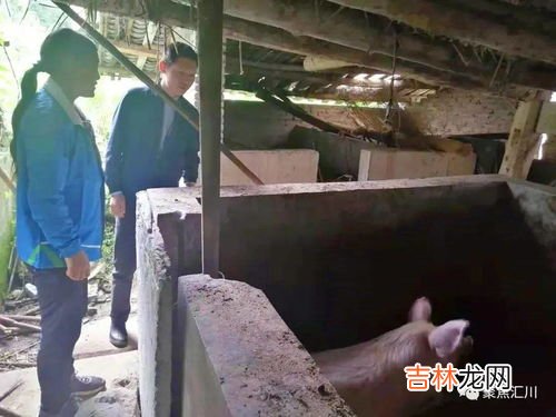 老人在家中去世该怎么办,家里有老人过世应该怎么办