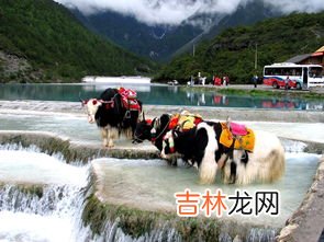 缅川在哪,缅川是什么地方