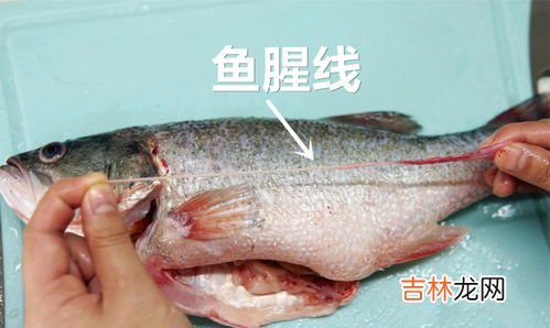 什么茶水去鱼腥,做鱼去腥味的最好办法是什么