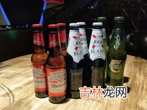 百威几度,百威啤酒多少度