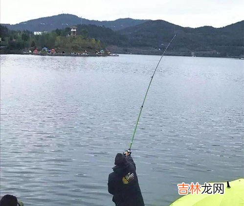 怎么钓草鱼调漂,钓草鱼怎么调漂钓草鱼怎么调漂介绍
