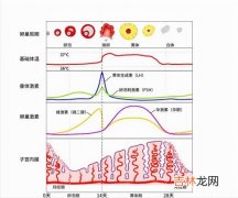 定性和定量的区别,定量和定性的区别是什么？