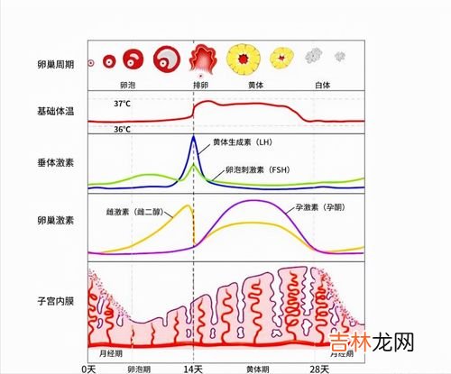 定性和定量的区别,定量和定性的区别是什么？