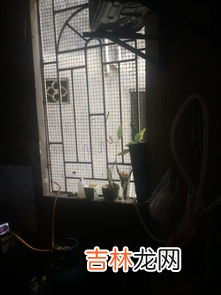 天热煤气罐会不会爆炸,夏天煤气罐放外面会爆炸吗