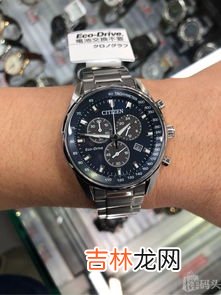 西铁城光动能手表表带尺寸,西铁城海龟表带宽尺寸
