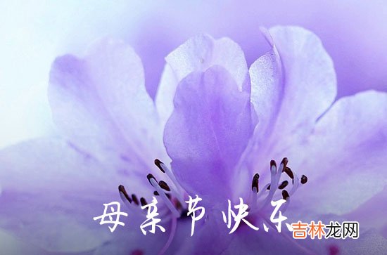 2023年母亲节祝福问候语微信集合30条