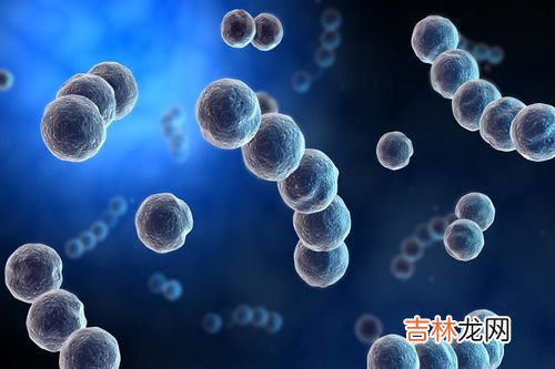 熵是什么,熵是什么意思?