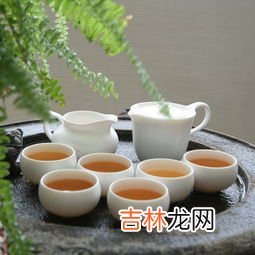 苦丁茶属于什么茶类,苦丁茶是凉性还是热性 苦丁茶产自哪里