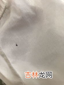 衣服上的荧光剂能洗掉吗,荧光剂怎么去除