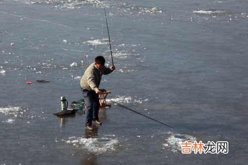 钓鲫鱼用几号钩,鲫鱼用几号钩钓最好