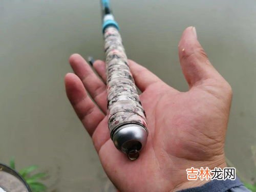 钓大鱼用什么鱼竿,如何挑选一支适合钓大鱼的鱼竿