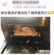 胶碗可以放在微波炉里面加热吗,一次性胶饭盒可以放微波炉加热吗