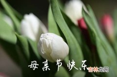 2023精选母亲节优美的祝福语27句